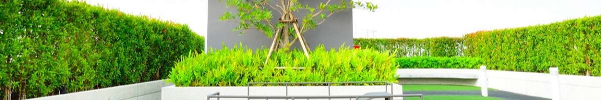 The Deck n Yard Xperts Banner