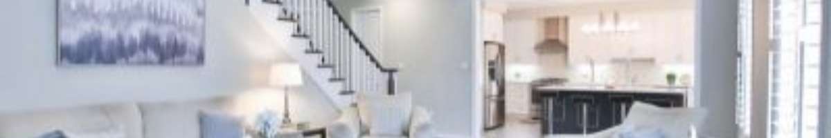 Painting Services Newcastle Banner