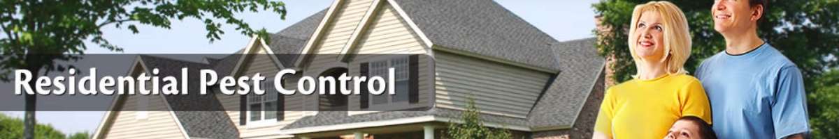 Bugs Be Gone Pest Control Banner