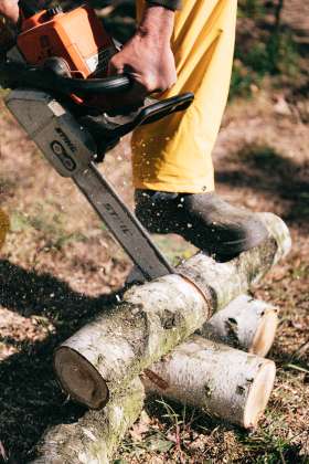 Stihl Shop Holland Park