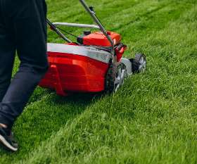 Stihl Shop Holland Park