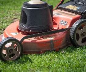 Stihl Shop Holland Park