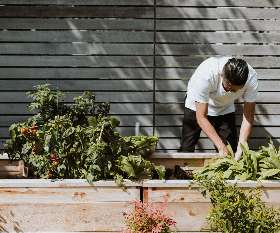Stihl Shop Holland Park