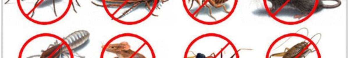 On Time Pest Control Banner