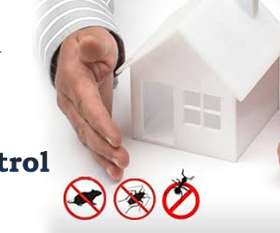 On Time Pest Control