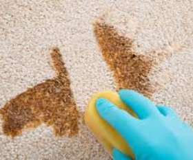 Carpet Cleaning Springfield Lakes