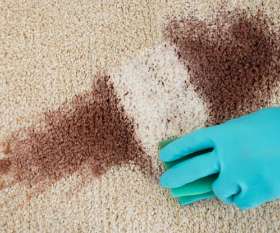 Carpet Cleaning Springfield Lakes