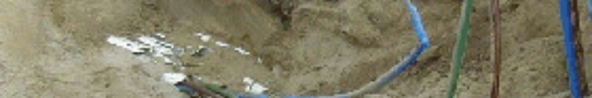 Elam Cabling Group Banner