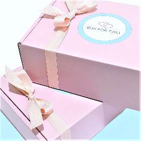 Boxfortwo