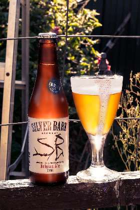 Silver Bark Brewery