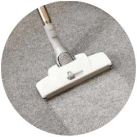 Carpet Cleaning Lara