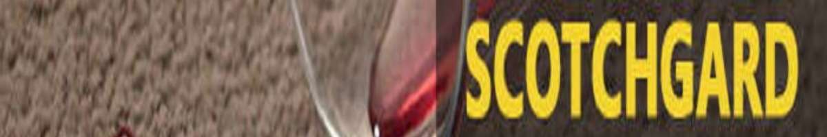 Carpet Cleaning Surfers Paradise Banner