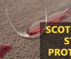 Carpet Cleaning Surfers Paradise