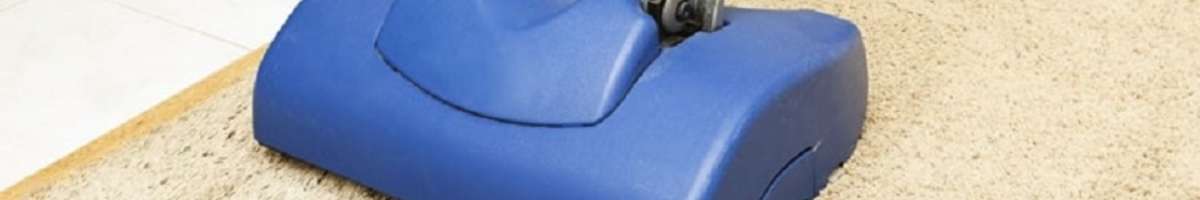 Carpet Cleaning Morningside Banner