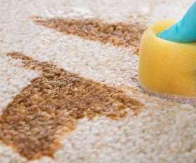 Carpet Cleaning Hoppers Crossing