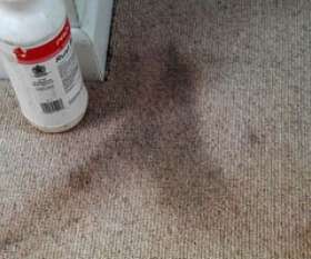 Carpet Cleaning Mill Park