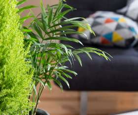 CP Designs & Applications PTY LTD