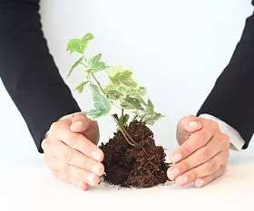 Private Wealth Accountants