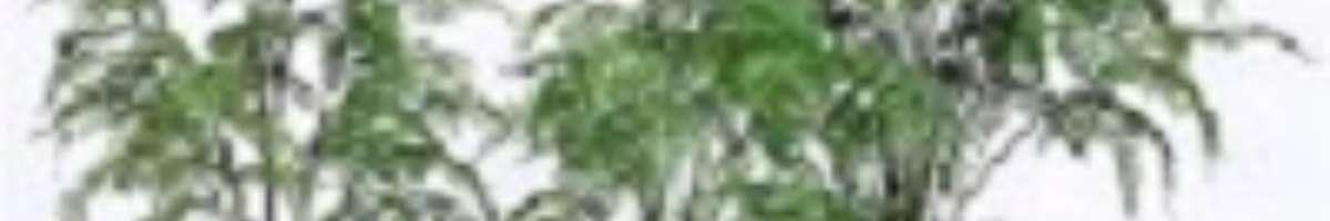 Sharetrade Artificial Plant and Tree Manufacturer Banner