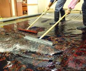 Carpet Cleaning South Yarra