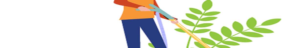 Carpet Cleaning Kyneton Banner