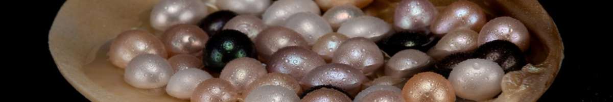 Akuna Pearls Banner