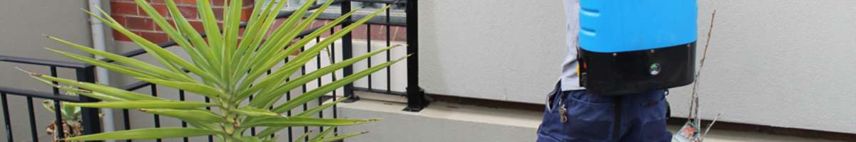 Tom’s Pest Control Perth Banner