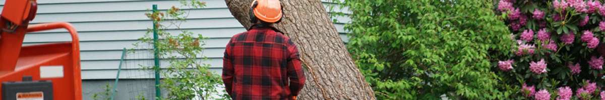 Complete Tree Experts Banner