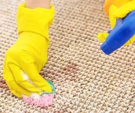 Carpet Cleaning North Hobart
