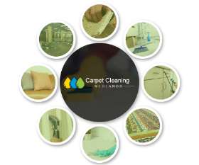 Professional Carpet Cleaning Nedlands