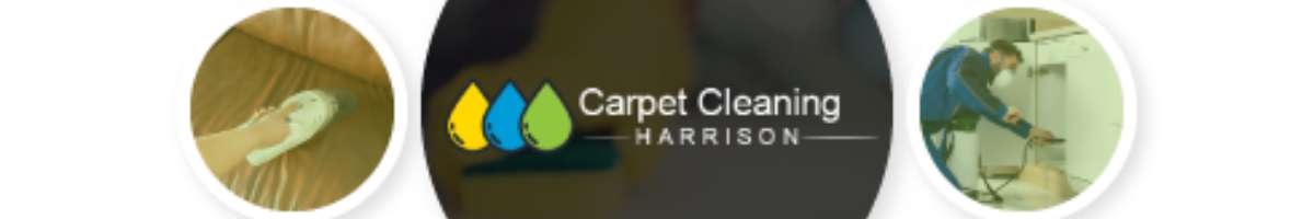 Carpet Cleaning Harrison Banner