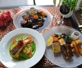 Our Main Course at Ginger Olive Restaurant and Grill Melbourne