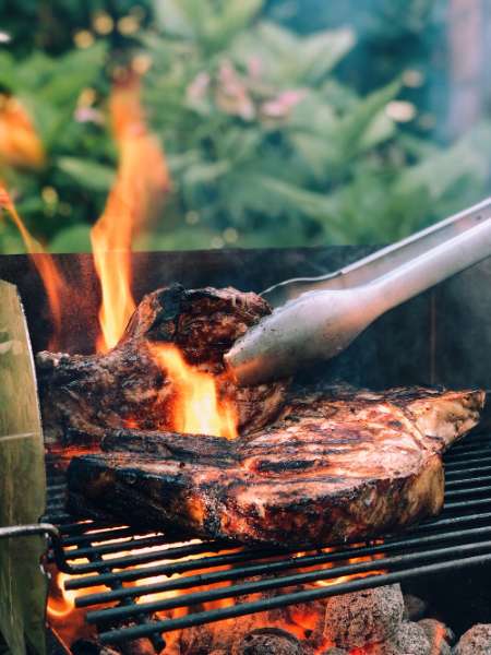 Which Type of Grill Is Right for You?