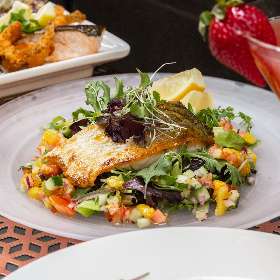 Recommended Restaurant and Grill, Melbourne CBD  Ginger Olive Bistro & Bar