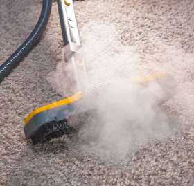 Carpet Cleaning Braddon