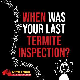 Your Local Termite and Pest Control