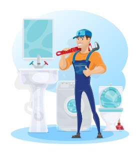 Plumber Rose Bay
