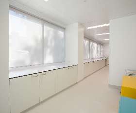 Simple Window Shades