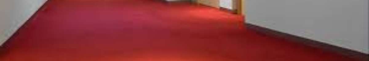 Carpet Cleaning Glenelg Banner