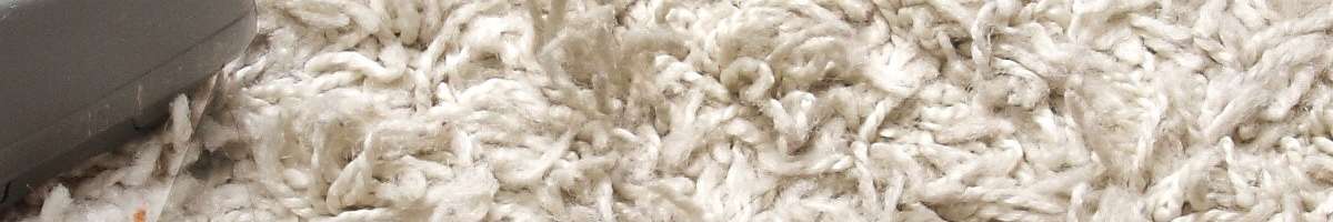 Carpet Cleaning Glebe Banner