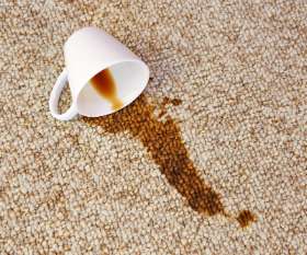 Carpet Cleaning Homebush