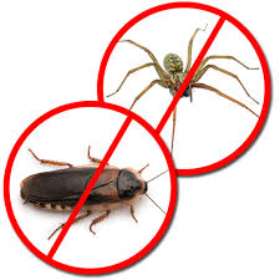 Pest Control Pymble
