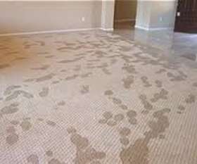 Flood Damage Restoration Frankston