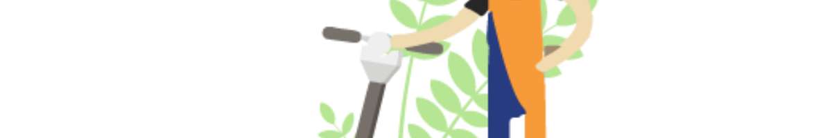 Carpet Cleaning Kingston Banner