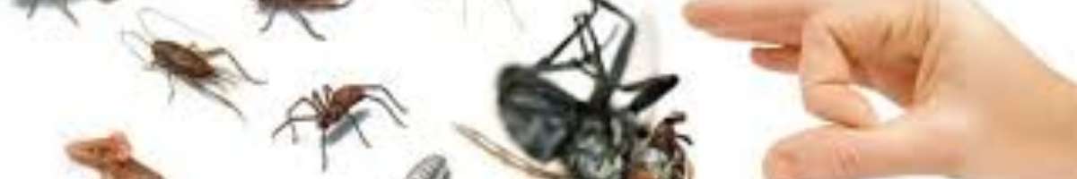 Pest Control Waterloo Banner