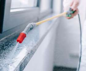 Pest Control Waterloo