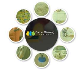 Local Geelong Carpet Cleaning