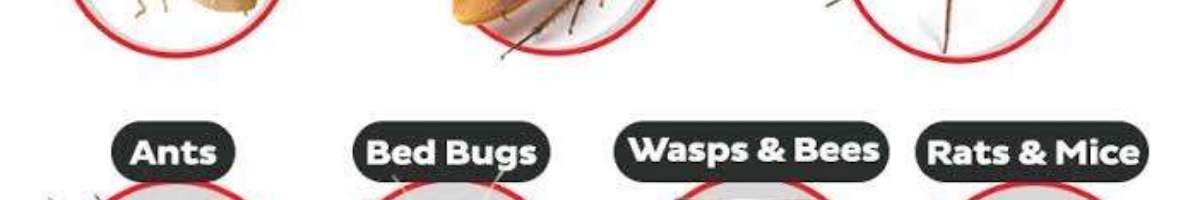 Pest Control Ringwood Banner