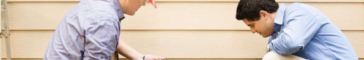 Sunshine Coast Pest Banner