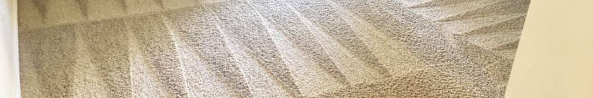 Carpet Cleaning Port Kennedy Banner